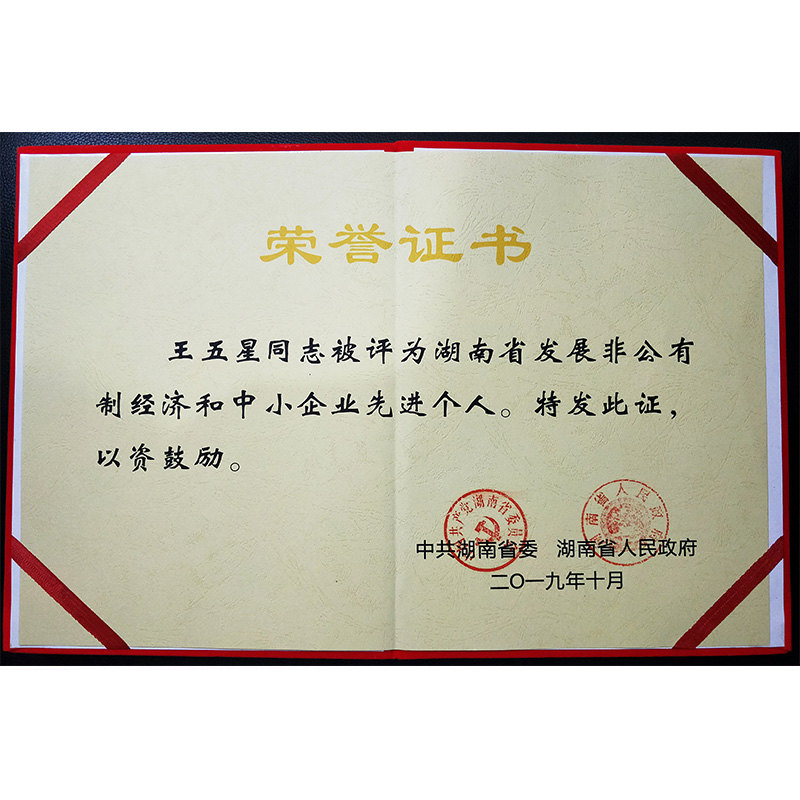 董事长王五星 湖南省发展非公有制经济和中小企业先进个人