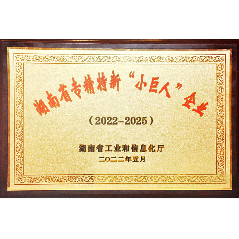 湖南省专精特新“小巨人”企业