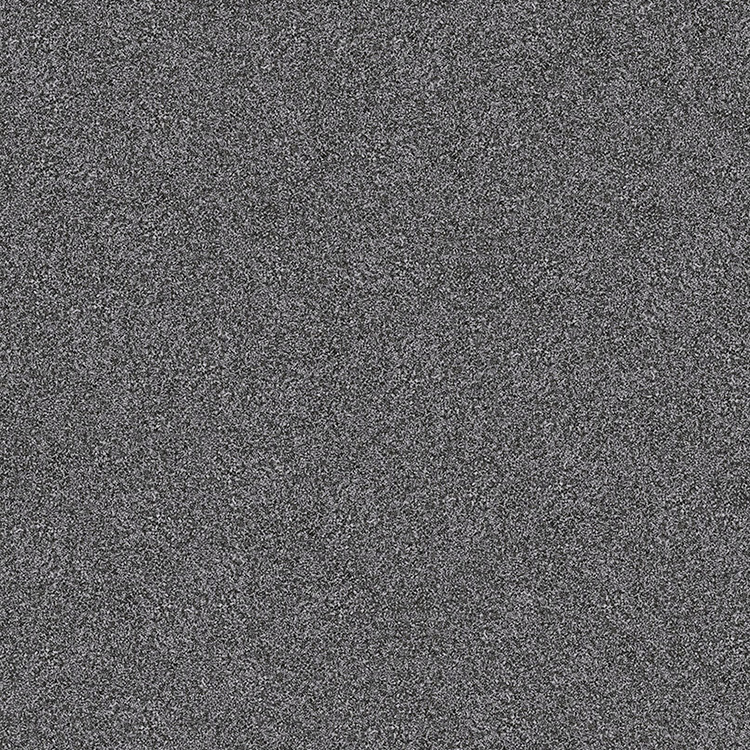 T2066018L T2066018R-芝麻黑